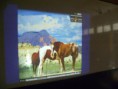 /album/fotogaleria/p1000195-jpg/