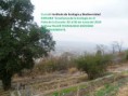 /album/fotografias-en-terreno-cursos-y-seminarios/diapositiva3-jpg/